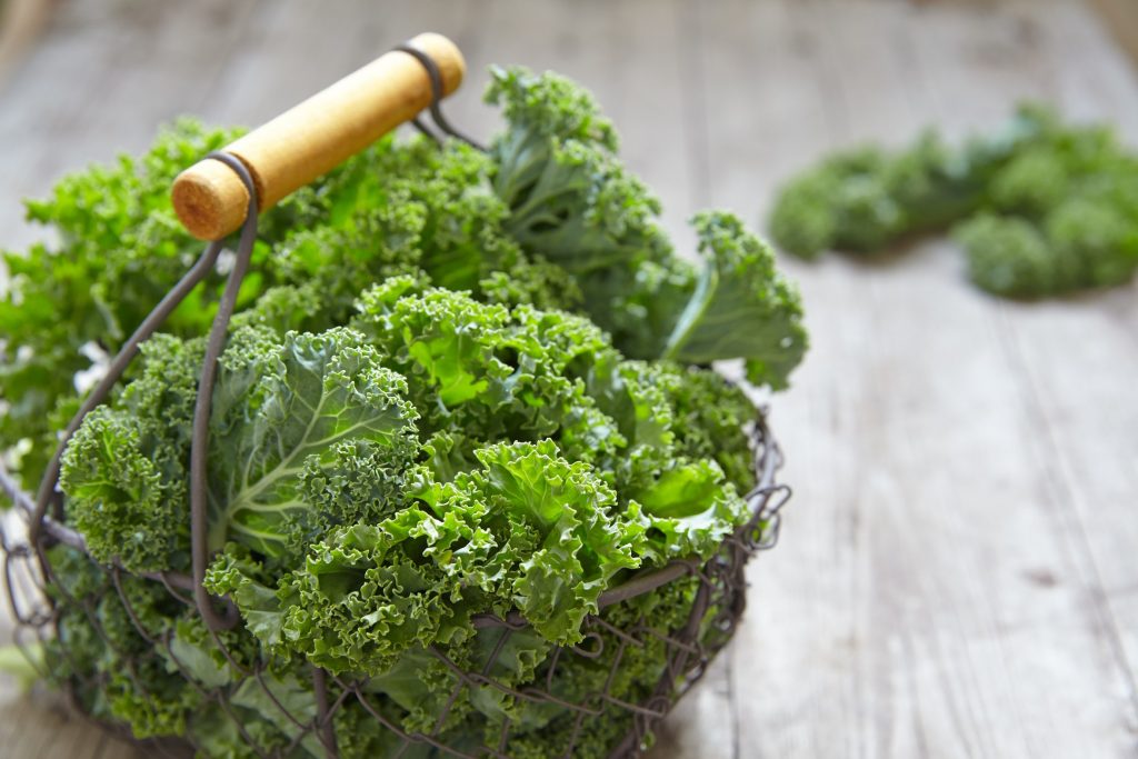 kale health benefits