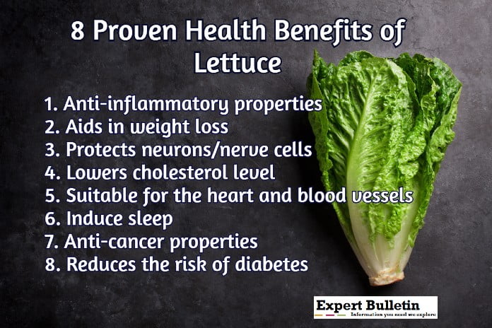 lettuce benefits infographic