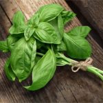 Basil Nutrition Facts and Calorie Information