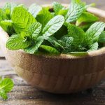 Peppermint Nutrition Facts and Calorie Information