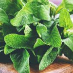 Sage Nutrition Facts and Calorie Information