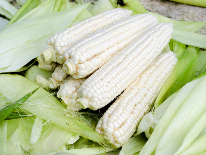 White Corn Nutrition Facts 