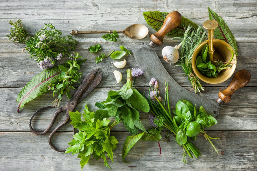 Healthiest Herbs You Need for Cooking