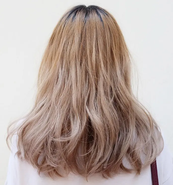bronze ash hair color