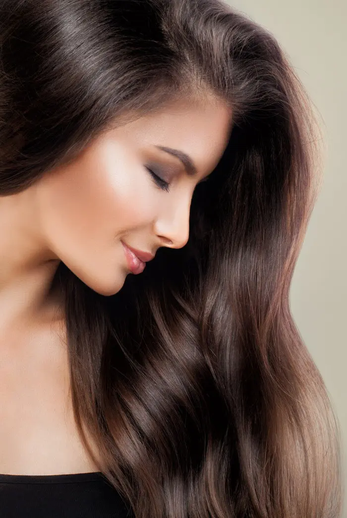 chestnut brown hair color